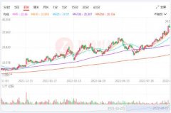 {配资公司雷区}业绩股价双丰收 兖矿能源的黑金行情还能演绎多久？