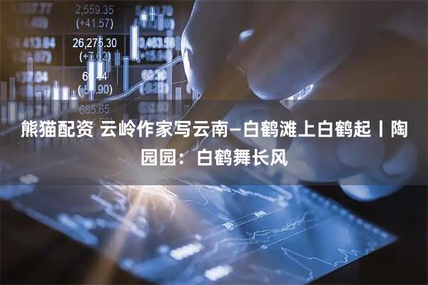 熊猫配资 云岭作家写云南—白鹤滩上白鹤起丨陶园园：白鹤舞长风