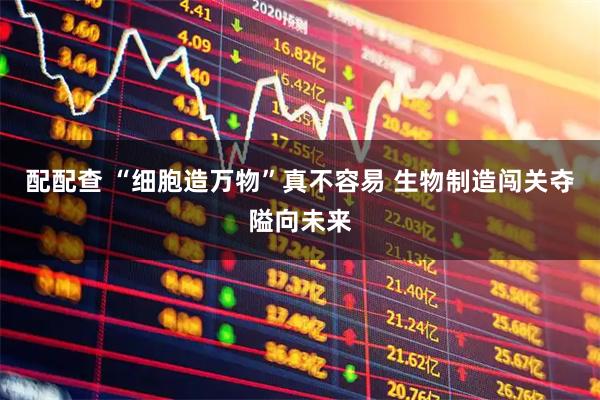 配配查 “细胞造万物”真不容易 生物制造闯关夺隘向未来