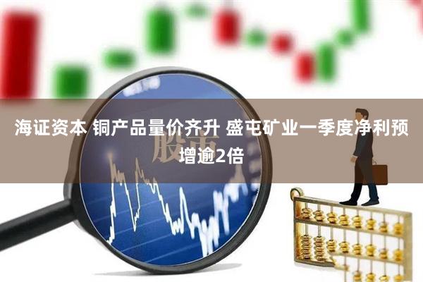 海证资本 铜产品量价齐升 盛屯矿业一季度净利预增逾2倍