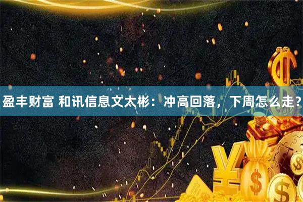盈丰财富 和讯信息文太彬：冲高回落，下周怎么走？