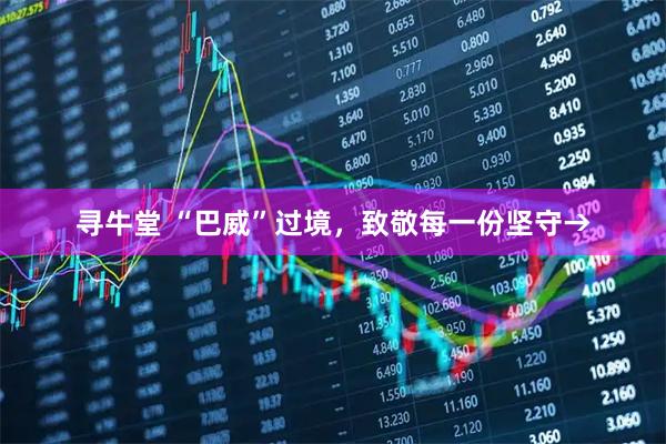 寻牛堂 “巴威”过境,致敬每一份坚守→